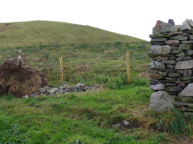 Coal Bing from Carnedd Lwyd. This distinctive flat-topped bing has been grassed over. Note the stone dyke on the right - dry-stone walling.