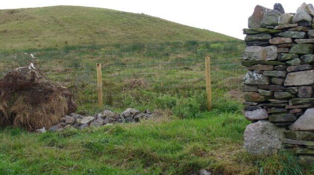 Coal Bing from Carnedd Lwyd. This distinctive flat-topped bing has been grassed over. Note the stone dyke on the right - dry-stone walling.