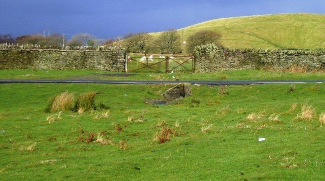 Edge of the common Looking north, on the far side of the road across the common there are enclosed fields again. The hill beyond is difficult to locate accurately; it is an old mine spoil heap.