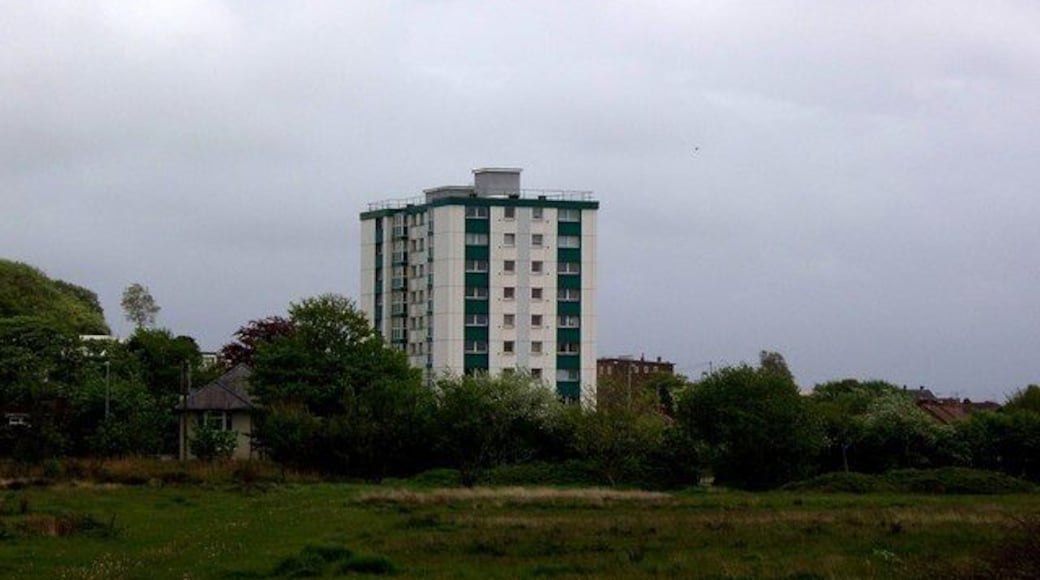 Clase. Tower block at Clase, near Morriston, Swansea. Seen from the western edge of the grid square, looking across Mynydd-bach common.