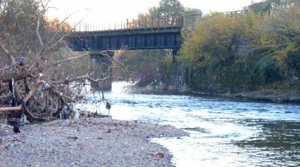 Disused railway bridge near Hailey Park. This bridge was built to provide a bypass loop from the former Radyr marshalling yard on to the Taff Valley Railway at Llandaff station