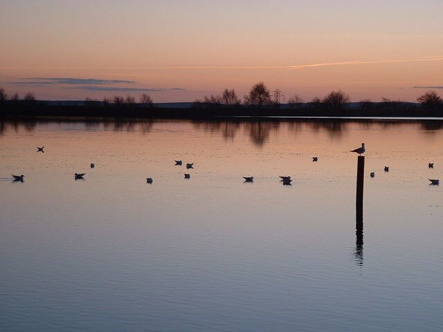 Sunset at Penyfan Pond Bird perched on post near shore of the pond