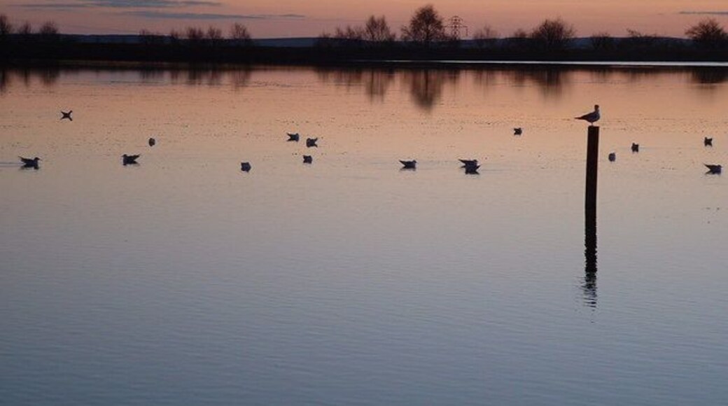 Sunset at Penyfan Pond Bird perched on post near shore of the pond