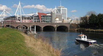 Taff embankment, Cardiff The capital, on St. David's Day