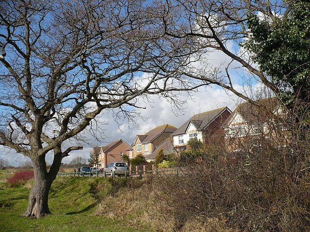 Houses in Water Avens Close, Cardiff. These houses face onto 721102.