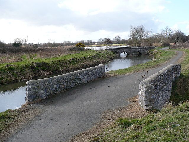 Reen in Hendre Lake Park Faendre Reen flows into Hendre Lake.