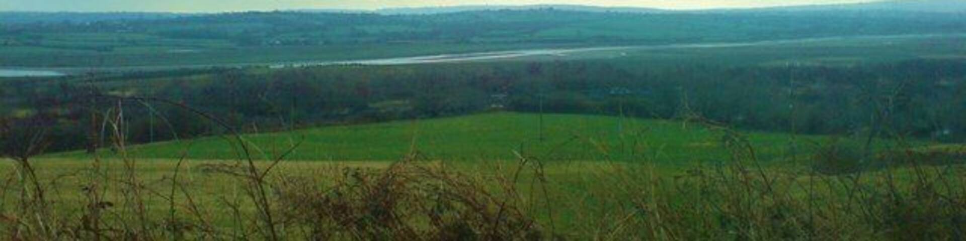 Afon Loughor from the road (before it becomes an estuary)