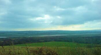 Afon Loughor from the road
