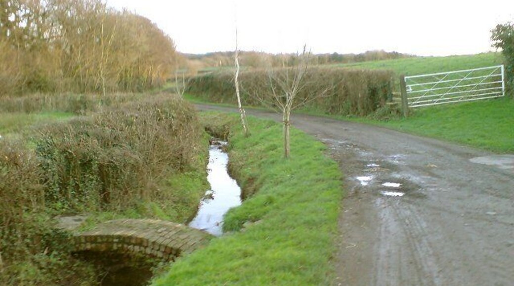 A small footbridge over a brook Near to Grove Farm, this small footbridge forms part of a public footpath that roams through farm fields in this area.