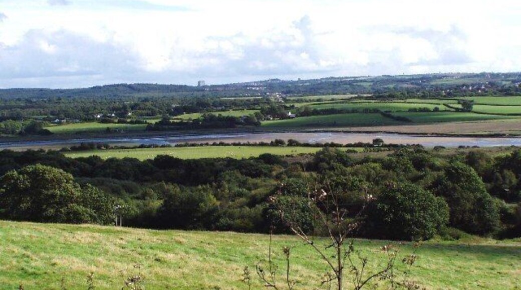 Loughor Estuary, Near Llangennech. View across the estuary from the north west.