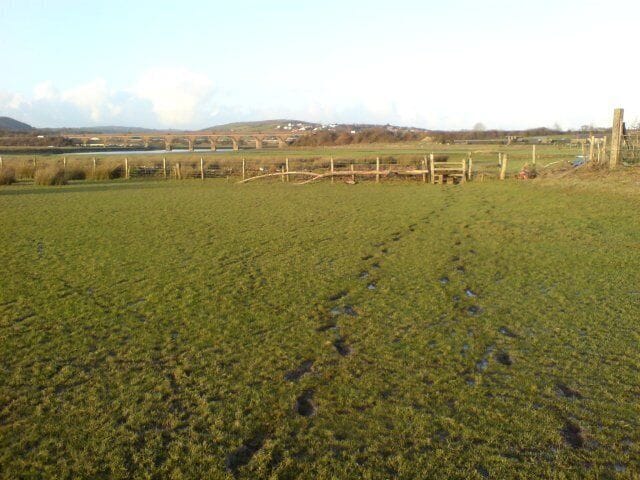 Footprints in the fields Although registered as a public footpath, very few people walk this route these days. This is one of the less boggy fields we walked through...