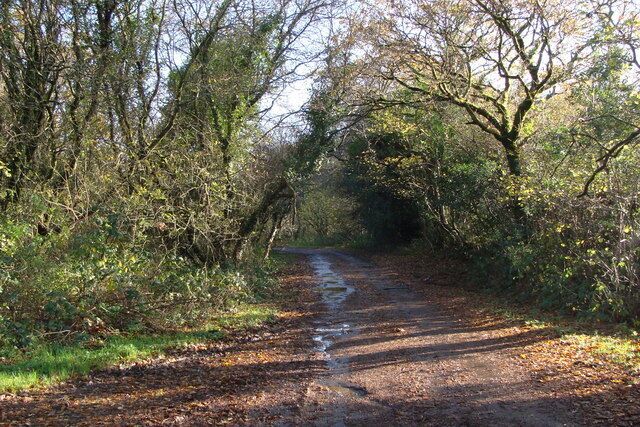 Road from Ty-gwyn Generously coloured yellow on the 1:25,000 map, this is barely more than a track. It is the start of a number of footpaths, and connects with the path shown in my picture in square SS5793