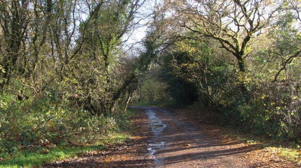 Road from Ty-gwyn Generously coloured yellow on the 1:25,000 map, this is barely more than a track. It is the start of a number of footpaths, and connects with the path shown in my picture in square SS5793