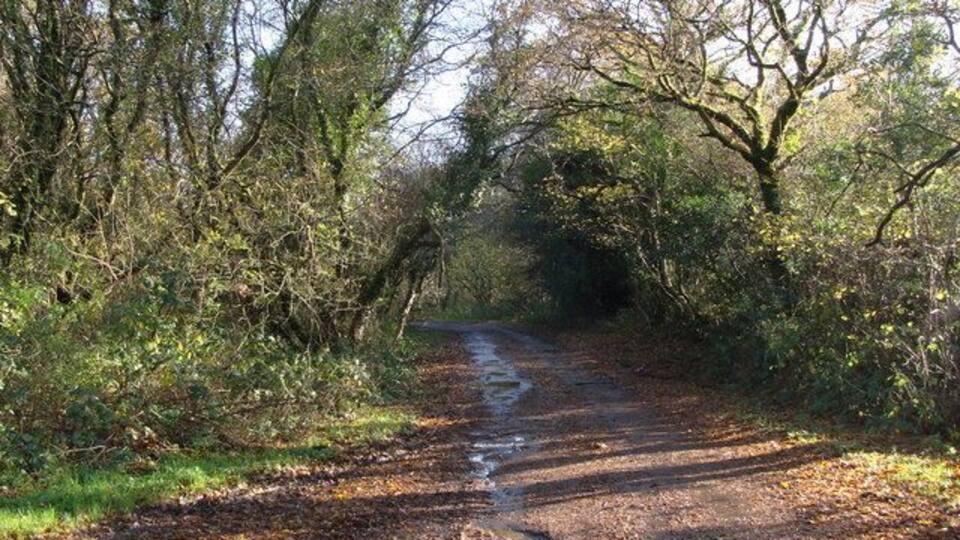 Road from Ty-gwyn Generously coloured yellow on the 1:25,000 map, this is barely more than a track. It is the start of a number of footpaths, and connects with the path shown in my picture in square SS5793