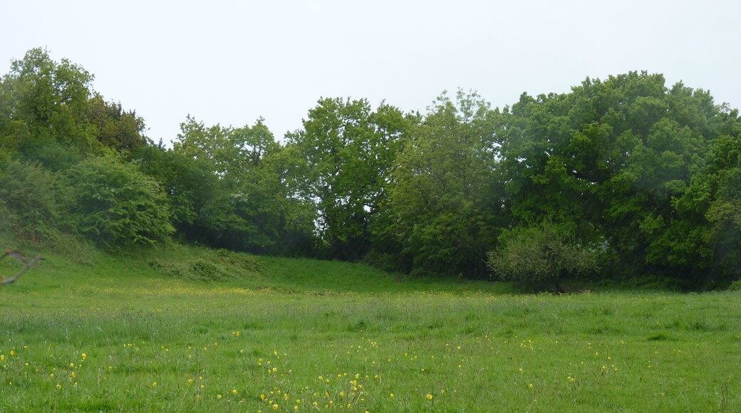 Photo from within the Iron Age Hillfort at Caerau, Ely, Cardiff. The embanked southern perimeter is seen in front of the wooded slopes.