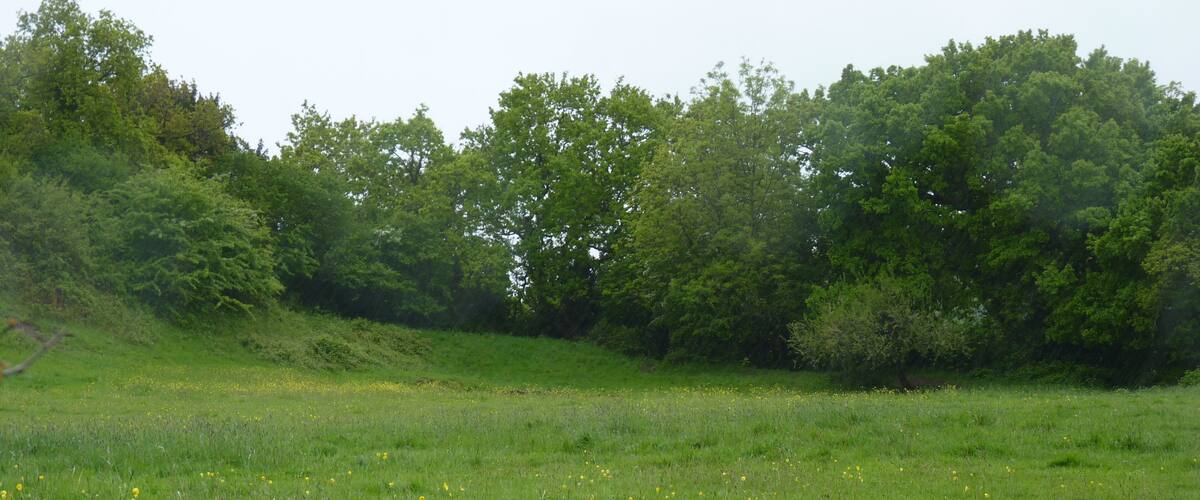 Photo from within the Iron Age Hillfort at Caerau, Ely, Cardiff. The embanked southern perimeter is seen in front of the wooded slopes.