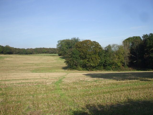 Mown field, Maes-y-Bryn Rd, Cardiff