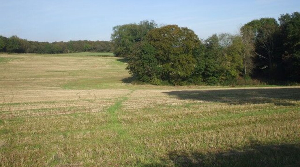 Mown field, Maes-y-Bryn Rd, Cardiff