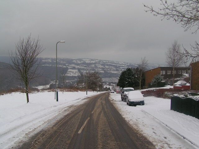 Pant side in the snow