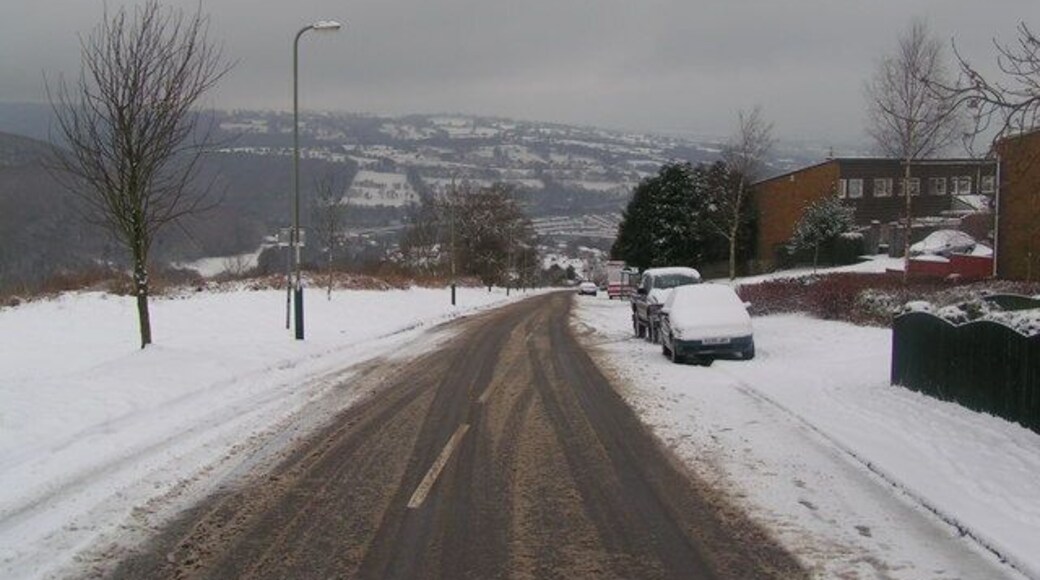 Pant side in the snow