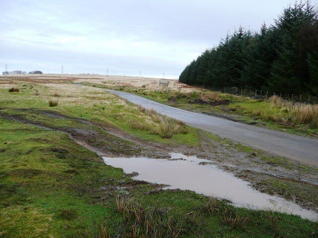 Moorland road Near the parking place at the entrance to Craig Wen woodland. The woodland ends here, and tracks lead across the open moorland towards Mynydd Twyn-glas.