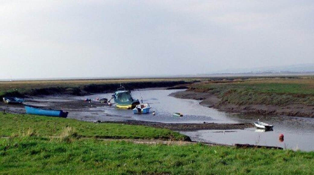 Burry Estuary at Penclawdd. view from south east