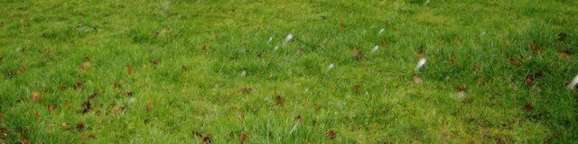 Bleak farmland In the rain, a boring sheep pasture is a wet boring sheep pasture. But this is what the land above the valley near Pant-y-resk is like.