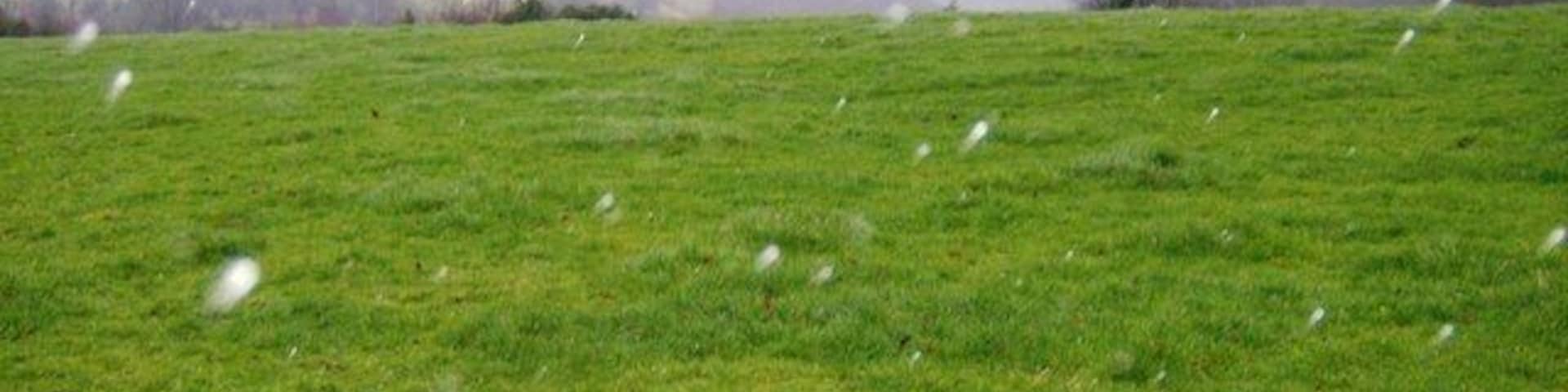 Bleak farmland In the rain, a boring sheep pasture is a wet boring sheep pasture. But this is what the land above the valley near Pant-y-resk is like.