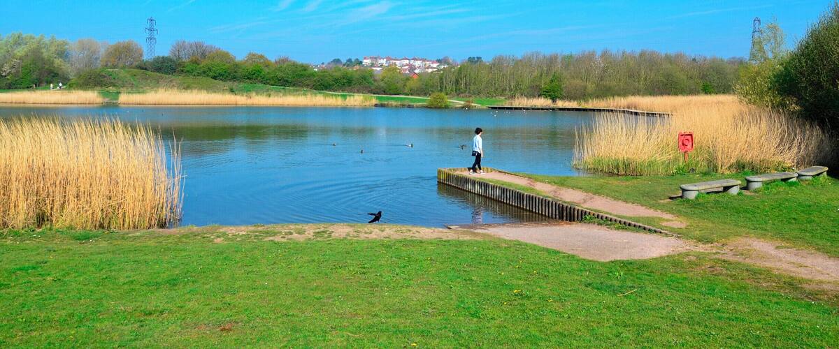 Lamby Lake, Rumney, Cardiff.