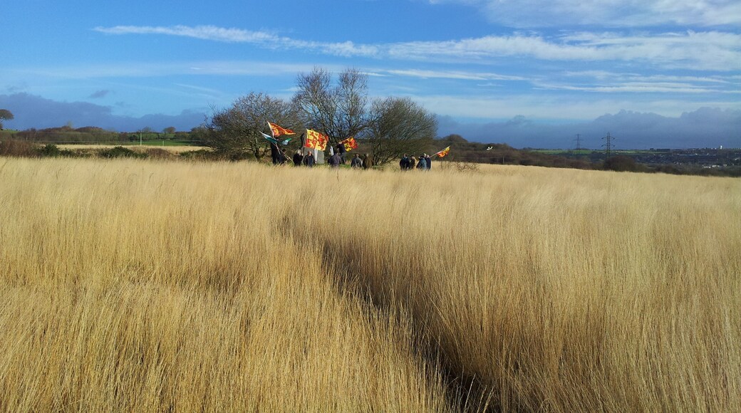 Coffad Brwydr Garn Goch Ionawr y Cyntaf 2013