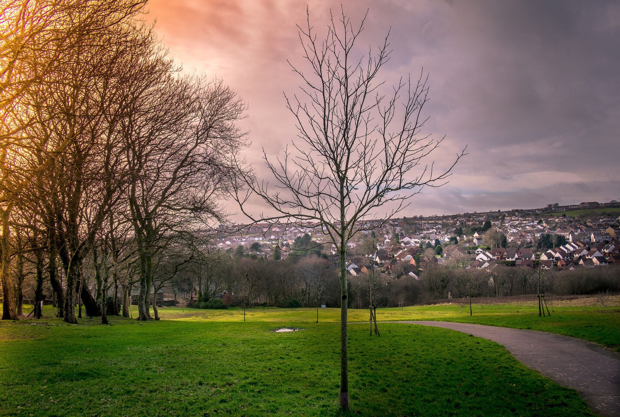 500px provided description: Park View [#park ,#sunset ,#landscapes ,#fields ,#walks ,#colourful ,#wales ,#swansea ,#housing ,#parks ,#estates ,#pathways ,#welsh parks ,#welsh landscapes ,#llewelyn park]