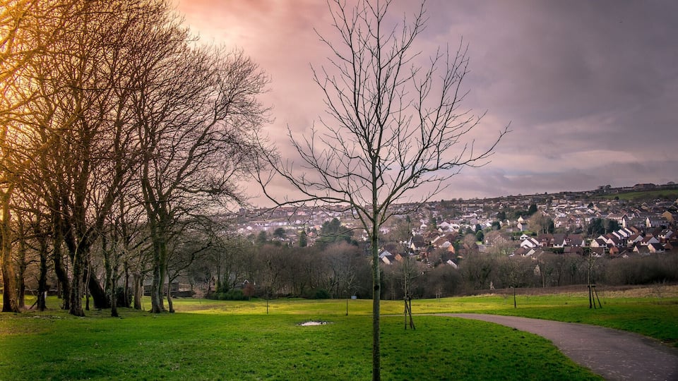 A park with a curved path, leafless trees, and a view of a town in the background.