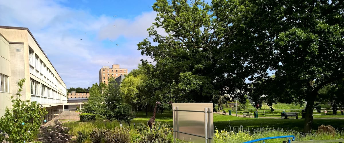 University Hospital of Wales gardens