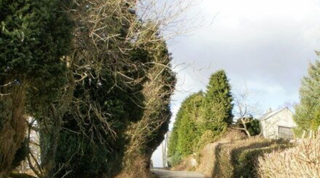 Steep climb on Cwrt-y-Bella approaching Darran Farm The AZ South Wales Valleys East Street Atlas is very useful on walks, showing many features in addition to streets, but contours are not shown. Thus I did not know what lay ahead along Cwrt-y-Bella, from the B4251 to Gwrhay. This photo shows a steep climb along the edge of Darran Farm.