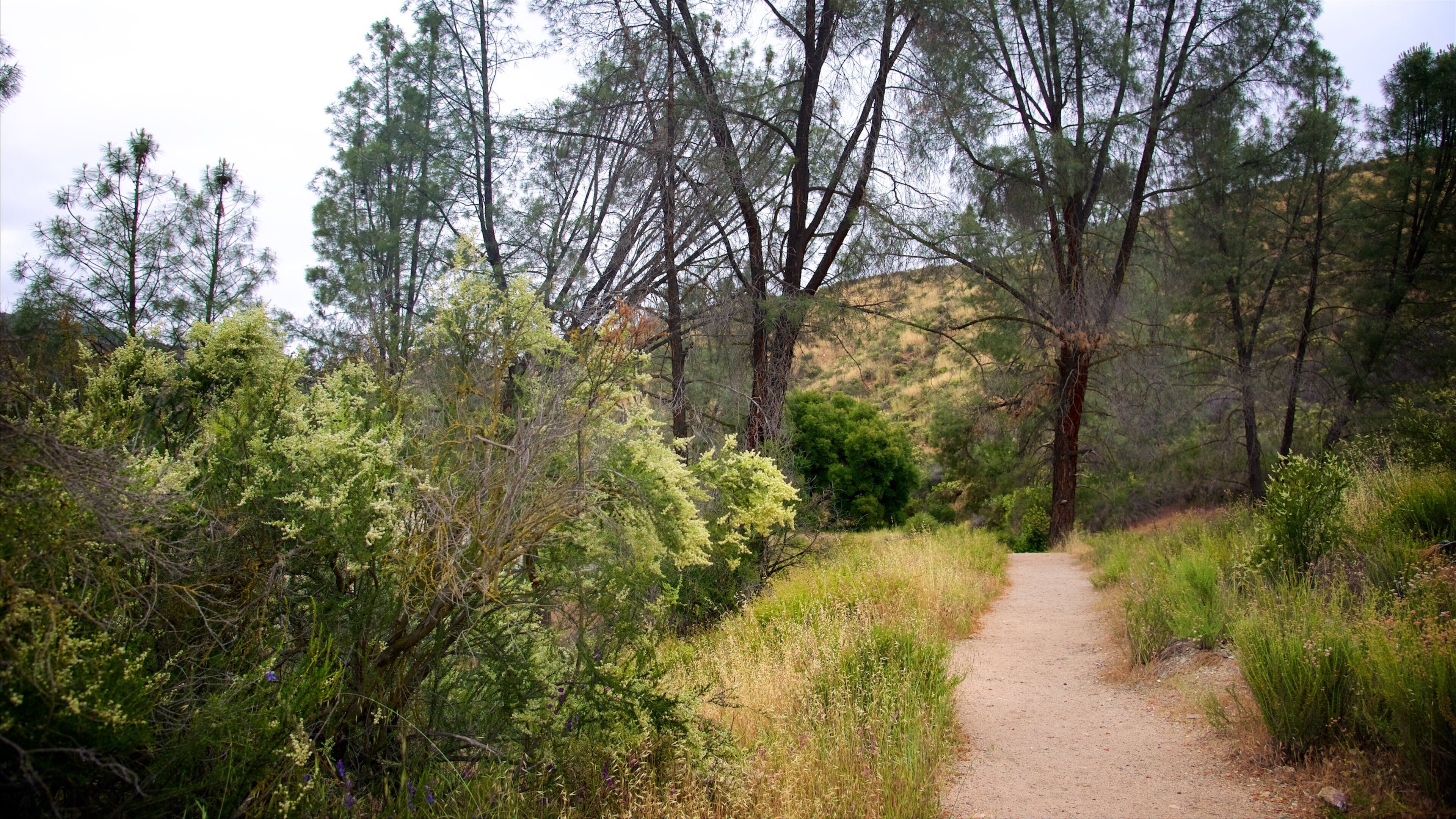 Pinnacles National Park fasiliteter samt rolig landskap