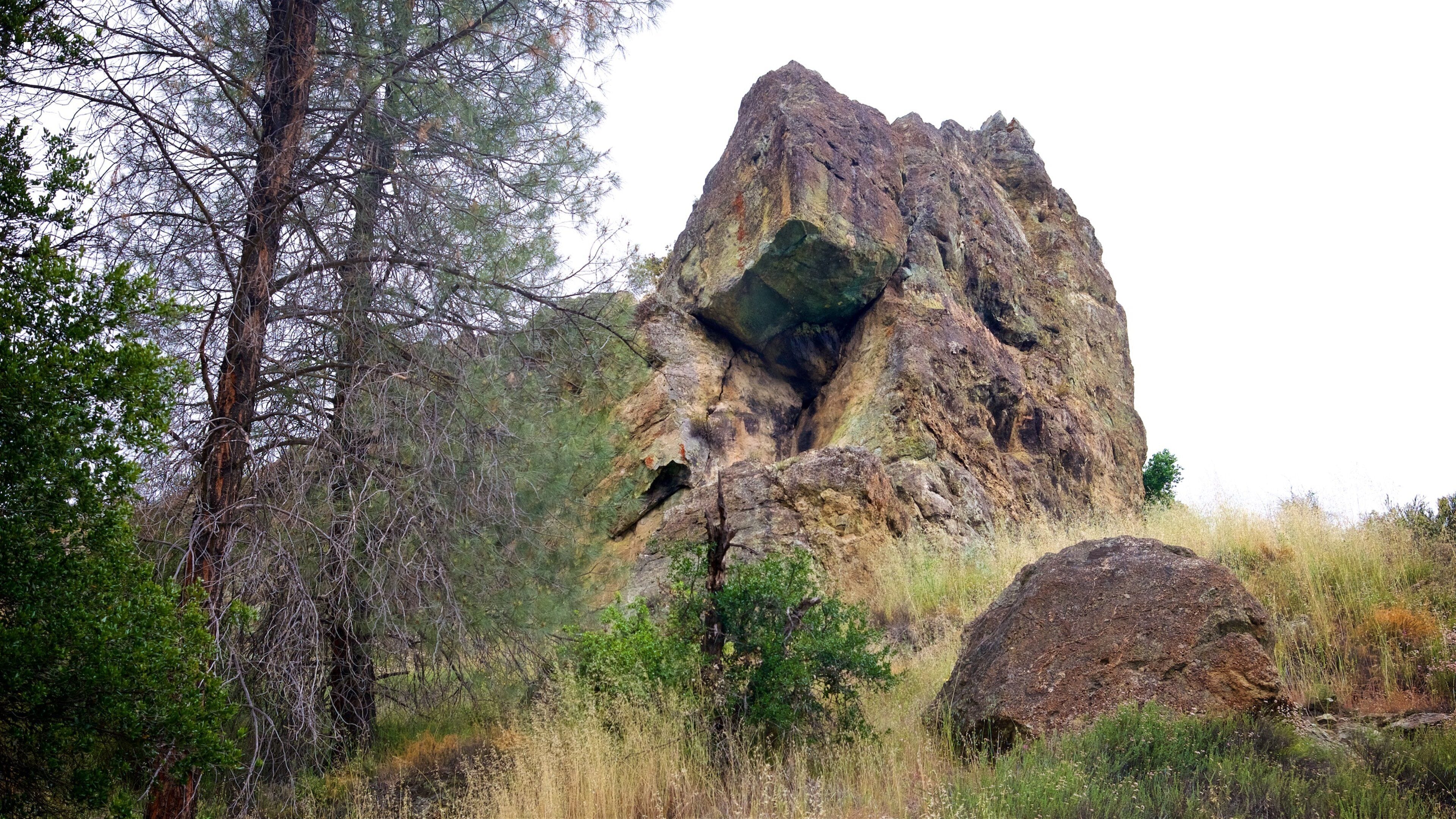 Old Pinnacles Trail