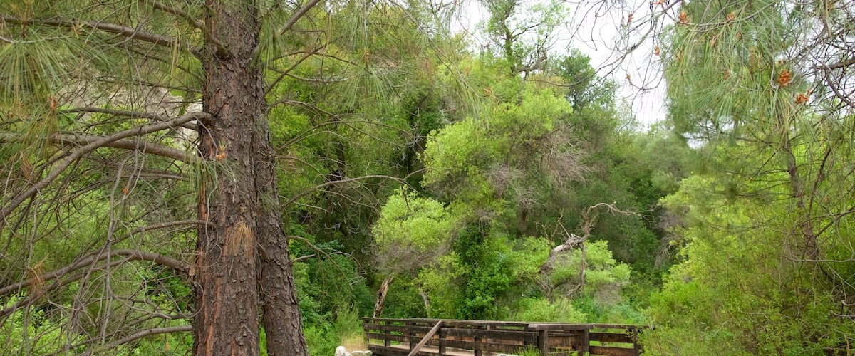 Old Pinnacles Trail