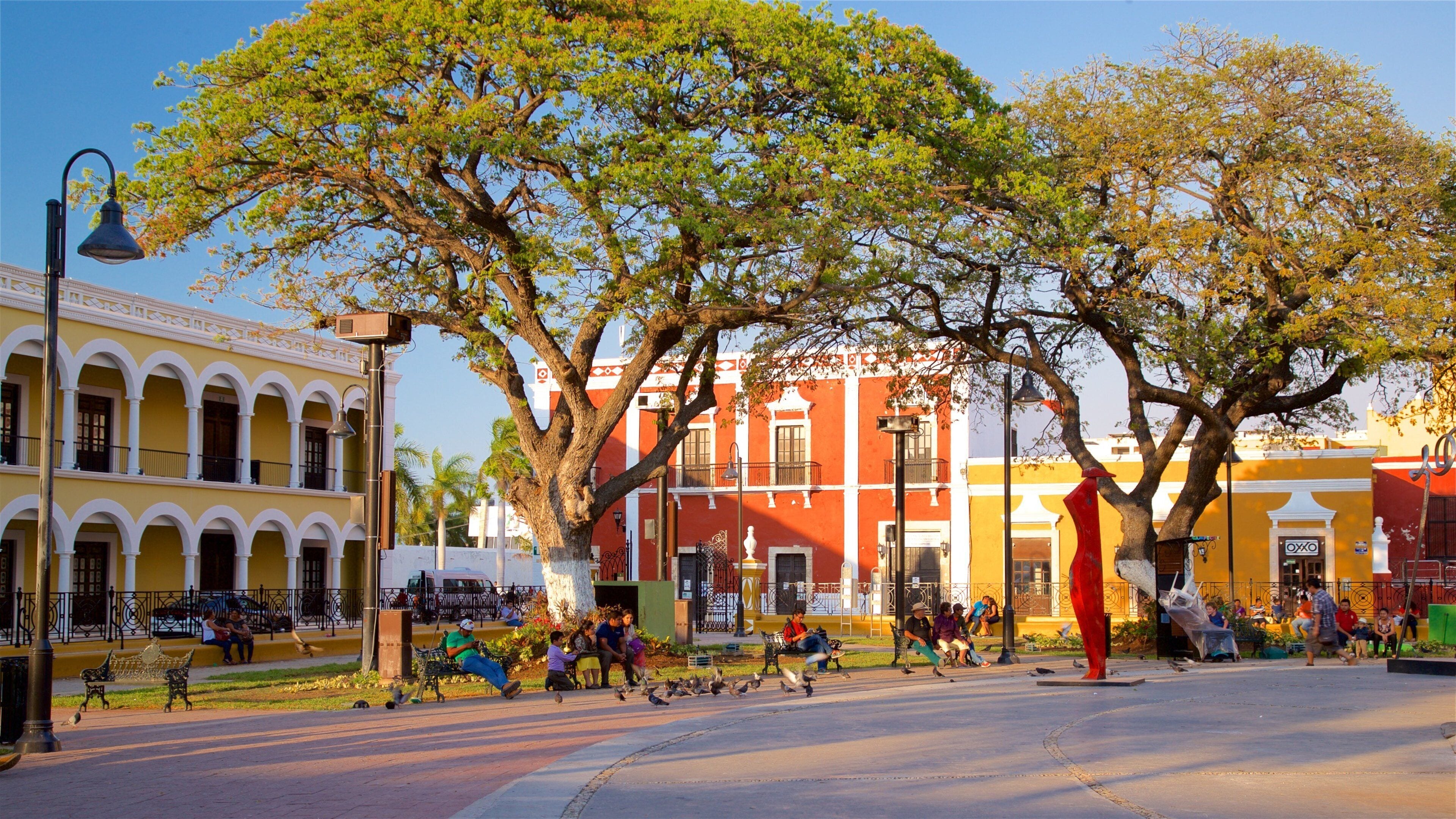 Campeche mostrando un jardín, arte al aire libre y aves