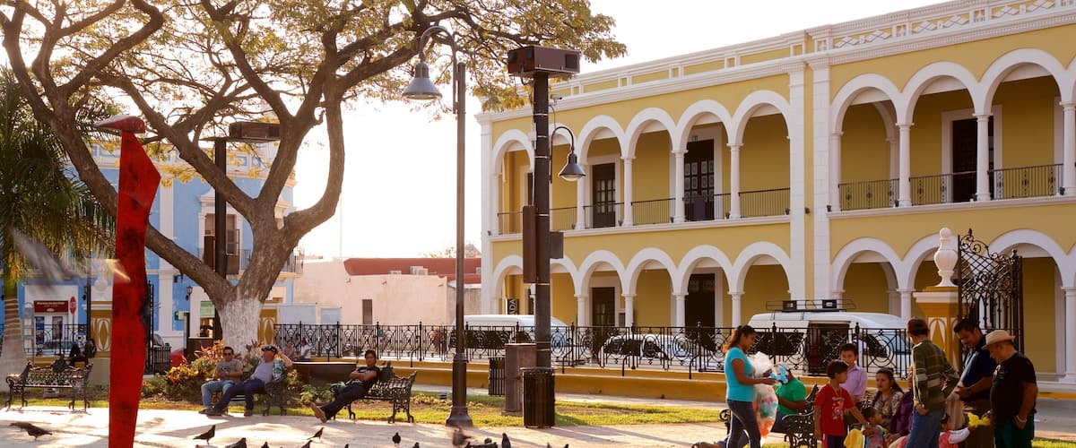 Campeche showing a garden, a sunset and bird life