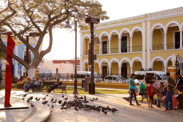 Campeche showing outdoor art, a park and bird life