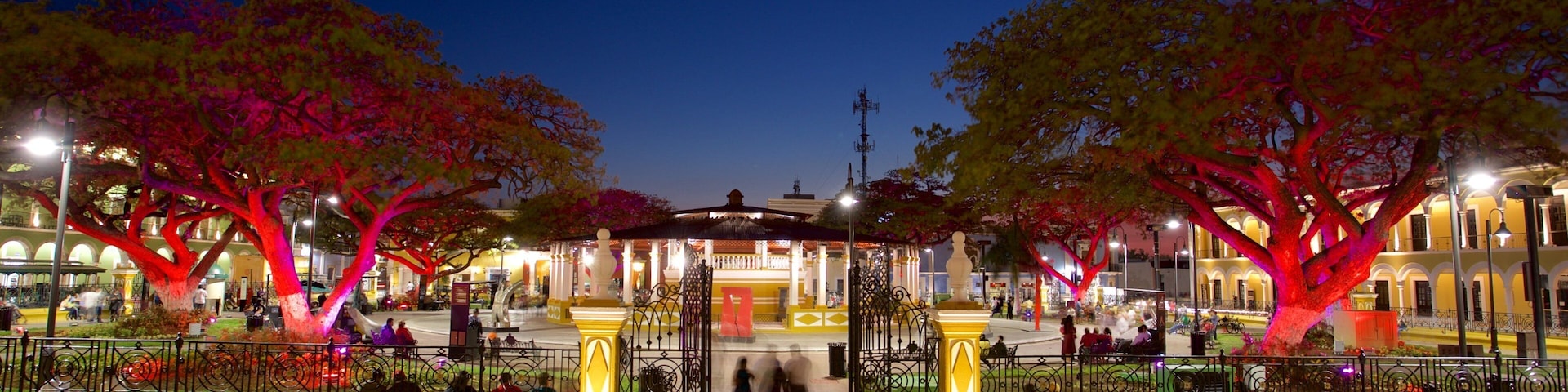 Plaza de la Independencia which includes night scenes and a garden