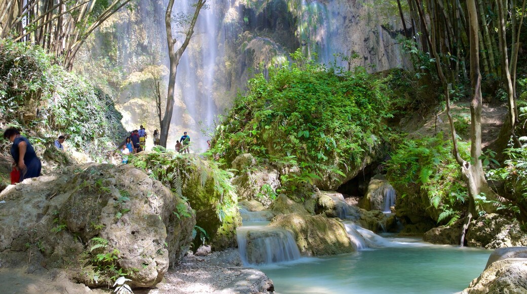 Oslob which includes a waterfall