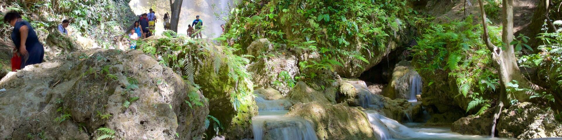 A waterfall cascading into a clear pool surrounded by lush greenery and rocky terrain.