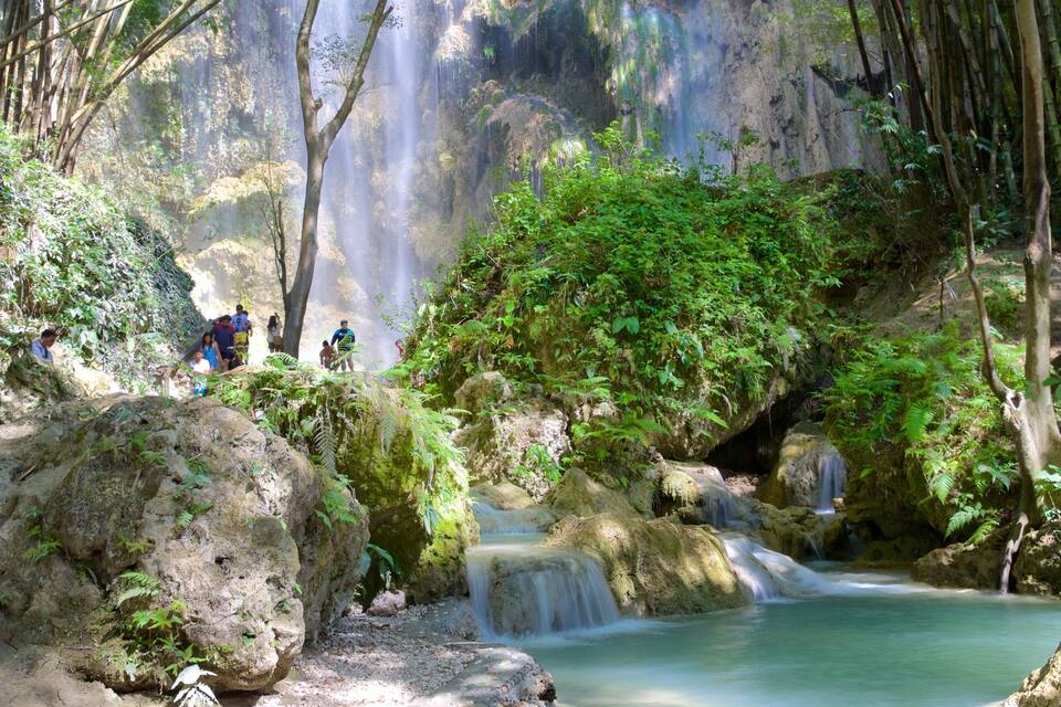 A waterfall cascading into a clear pool surrounded by lush greenery and rocky terrain.