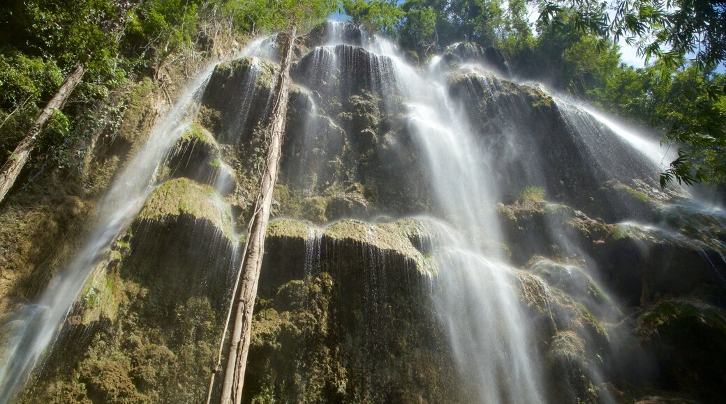 Tumalog Falls which includes a waterfall