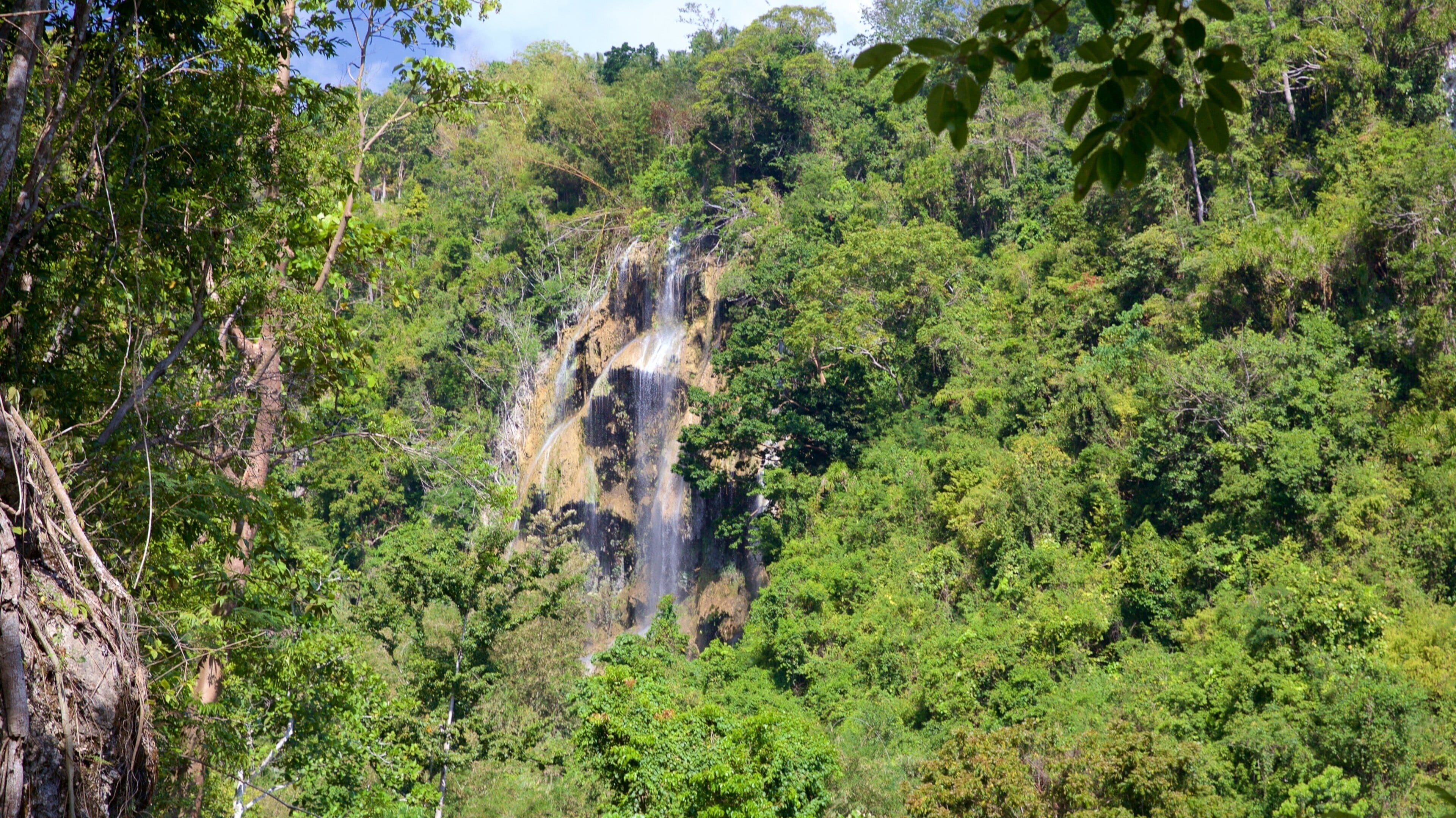 Tumalog Falls showing a waterfall and tranquil scenes
