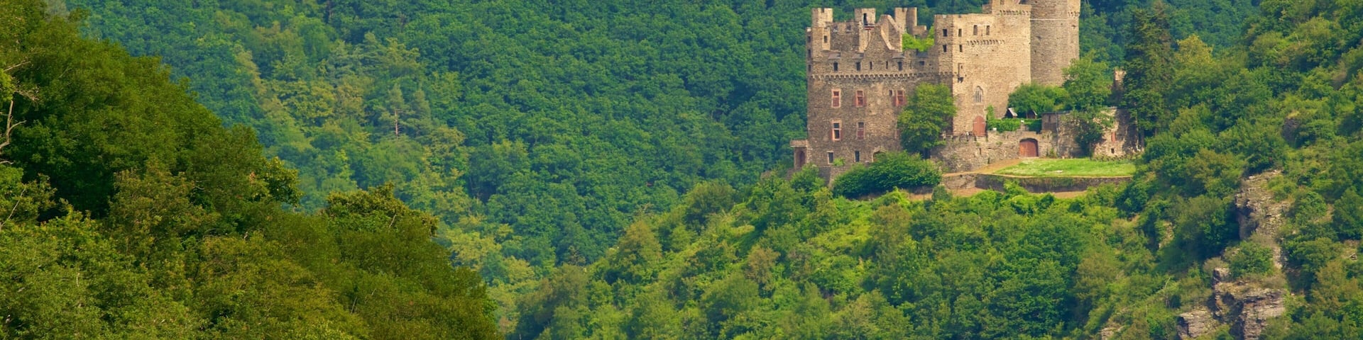 Sankt Goarshausen featuring landscape views, chateau or palace and tranquil scenes