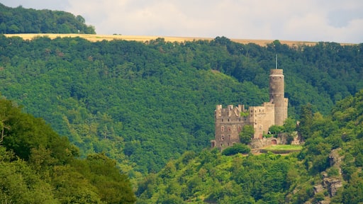 Sankt Goarshausen featuring landscape views, chateau or palace and tranquil scenes