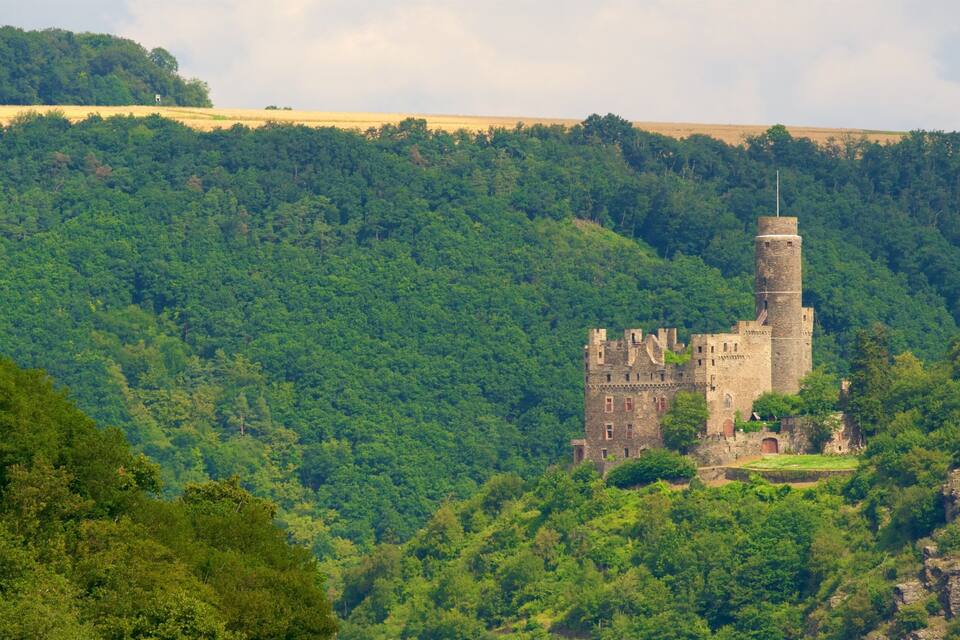 A medieval castle on a hill surrounded by dense forest.