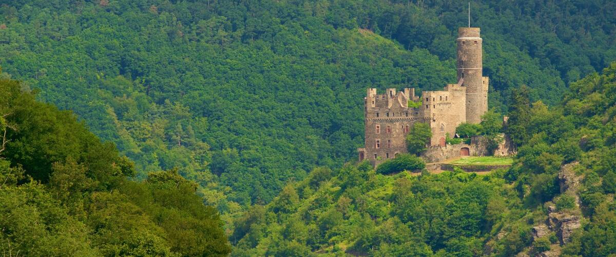 A medieval castle on a hill surrounded by dense forest.